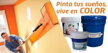 PINTA TUS SUE�OS, VIVE EN COLOR